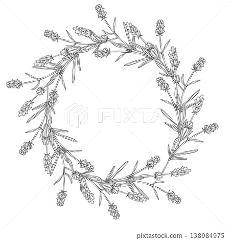 Lavender wreath made of branches, leaves and flowers forming a round frame. Botanical vector line illustration isolated on white background. Floral circle for wedding invitations, labels, packaging Lavender wreath made of branches, leaves and flowers forming a round frame. Botanical vector line illustration isolated on white background. Floral circle for wedding invitations, labels, packaging 138984975