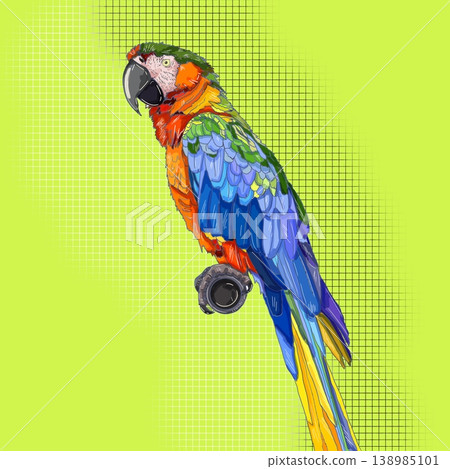 A colorful hand-drawn macaw parrot isolated on a white background. 138985101