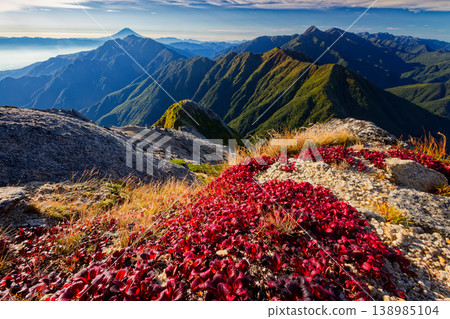Autumn foliage of Rhododendron urashimae at the summit of Mt. Kai-Komagatake, with views of Mt. Fuji, Mt. Houou, and Mt. Kitadake. Autumn foliage of Rhododendron urashimae at the summit of Mt. Kai-Komagatake, with views of Mt. Fuji, Mt. Houou, and Mt. Kitadake. 138985104