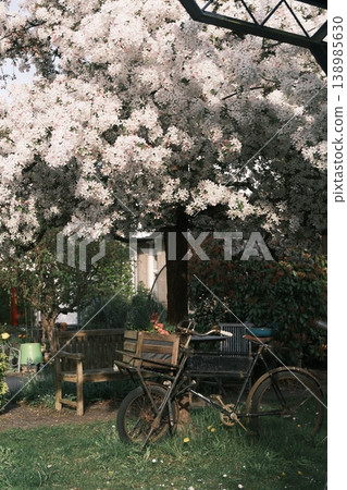 spring flowers on the street spring flowers on the street 138985630