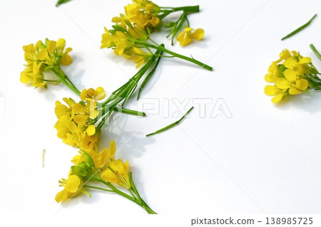 Mustard flower isolated on white background Mustard flower isolated on white background 138985725