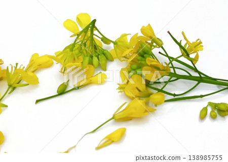 Mustard flower isolated on white background 138985755