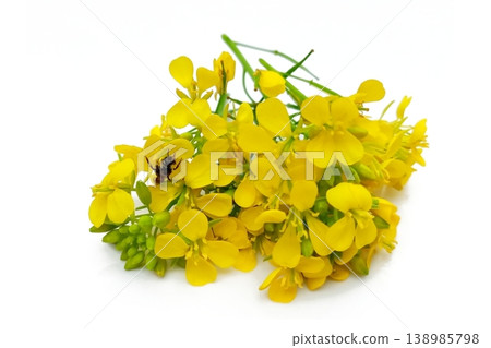 Mustard flower isolated on white background Mustard flower isolated on white background 138985798