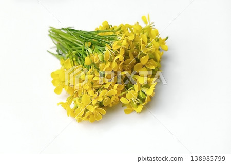 Mustard flower isolated on white background Mustard flower isolated on white background 138985799
