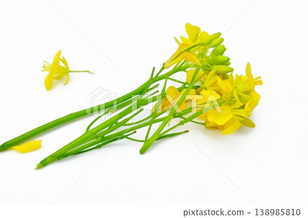 Mustard flower isolated on white background 138985810