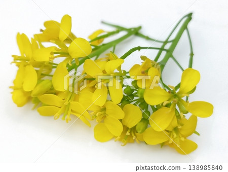 Mustard flower isolated on white background Mustard flower isolated on white background 138985840