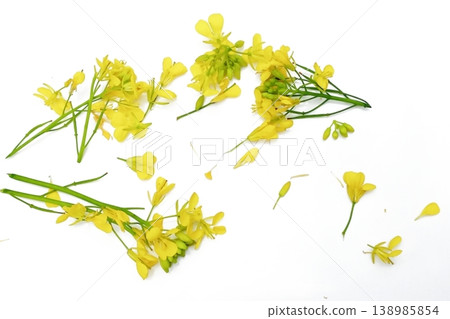 Mustard flower isolated on white background Mustard flower isolated on white background 138985854