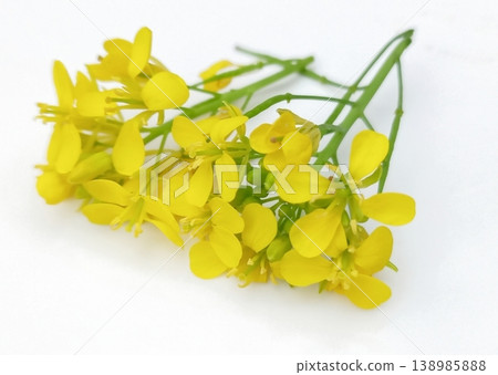 Mustard flower isolated on white background Mustard flower isolated on white background 138985888