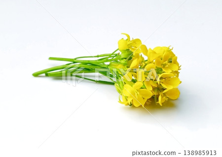 Mustard flower isolated on white background Mustard flower isolated on white background 138985913