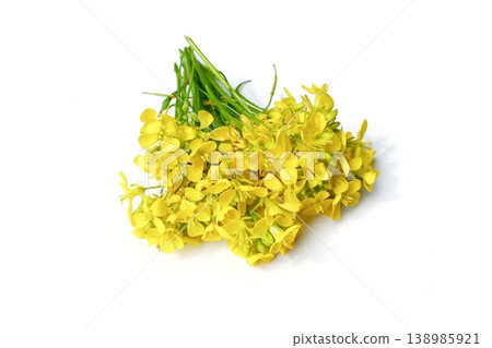 Mustard flower isolated on white background Mustard flower isolated on white background 138985921
