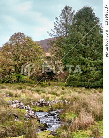 A small stream winds through a grassy moorland landscape. In the background, a dilapidated stone building ruin is visible among trees, with hills rising under an overcast sky. A small stream winds through a grassy moorland landscape. In the background, a dilapidated stone building ruin is visible among trees, with hills rising under an overcast sky. 138986237