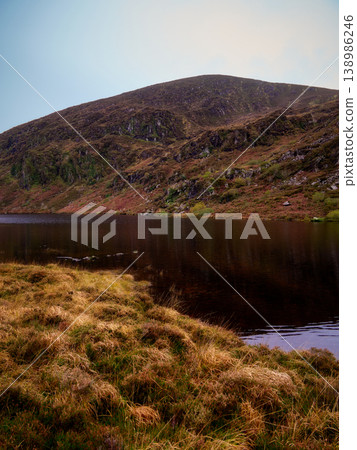 A wide view of a natural lake, shows dark water reflecting heather-covered slopes. Dry golden grass covers the foreground shore under a bright blue sky. 138986246