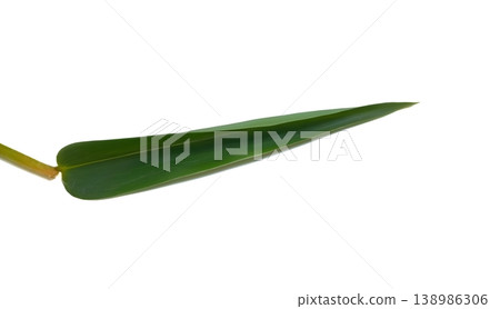 Bamboo leaves isolated on white background 138986306