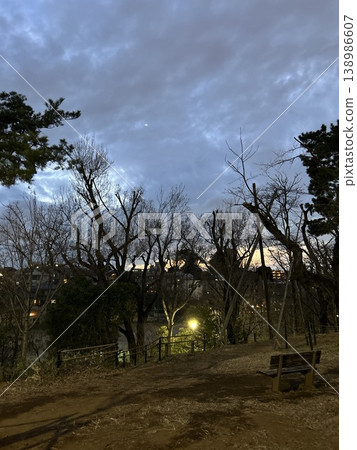 A winter park, a scene with shade from trees A winter park, a scene with shade from trees 138986607