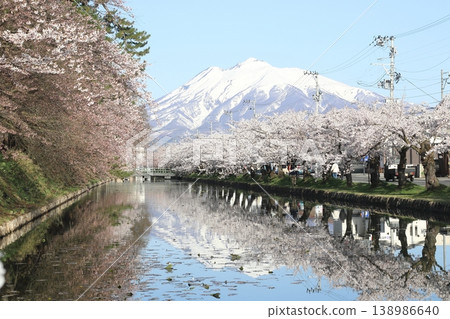磐城山和弘前公園的櫻花 138986640
