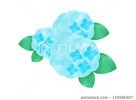 一幅淺藍色繡球花的水彩插圖。 138986807