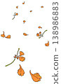 illustration of petals fall off of Flame tree orange flower drift down 138986883