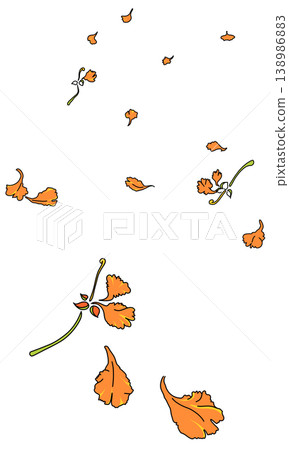 illustration of petals fall off of Flame tree orange flower drift down illustration of petals fall off of Flame tree orange flower drift down 138986883