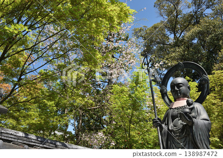 Taizoin Temple in Spring: Mizuko Jizo statue and cherry blossoms (Ukyo Ward, Kyoto City) Taizoin Temple in Spring: Mizuko Jizo statue and cherry blossoms (Ukyo Ward, Kyoto City) 138987472