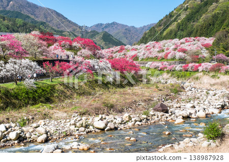 阿智村、花桃村 138987928