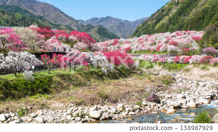 Achi Village, Hanamomo Village Achi Village, Hanamomo Village 138987929