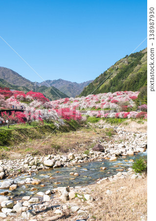 Achi Village, Hanamomo Village 138987930