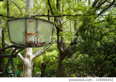公園裡綠樹環繞，籃球場上架著籃框（春日景色，運動） 138988042