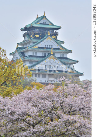 Cherry blossoms at Osaka Castle 138988048