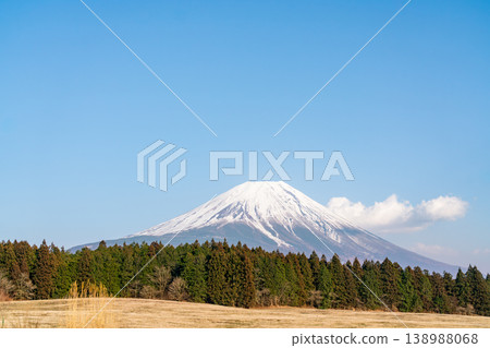 A clear spring meadow with Mount Fuji in the background (March 2025) A clear spring meadow with Mount Fuji in the background (March 2025) 138988068