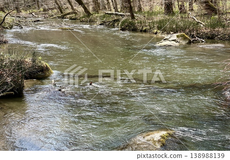 The gentle flow of the Oirase Stream in early spring The gentle flow of the Oirase Stream in early spring 138988139