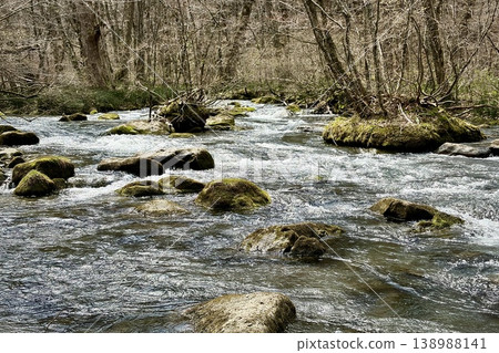 The white waters of the Oirase Stream wash over moss-covered rocks, and the forest in early spring. 138988141