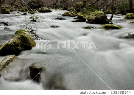 The silky flowing water and moss-covered rocks of the Oirase Stream 138988144