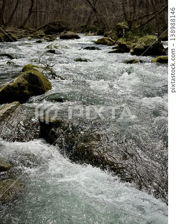 A vertical composition capturing the flow of the Oirase Stream over the rocks in spring. 138988146