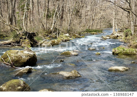 The gentle flow of the Oirase Gorge, dotted with large rocks, in early spring. The gentle flow of the Oirase Gorge, dotted with large rocks, in early spring. 138988147