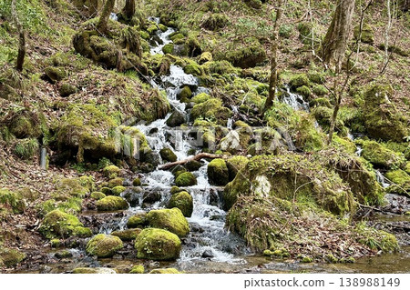 A mystical waterfall flowing over moss-covered rock faces in the Oirase Gorge. 138988149