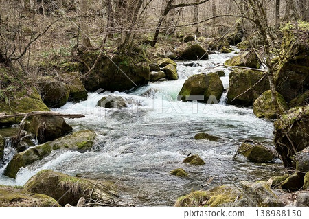 White rapids winding through moss-covered boulders in the Oirase Gorge and the forest of early spring. White rapids winding through moss-covered boulders in the Oirase Gorge and the forest of early spring. 138988150
