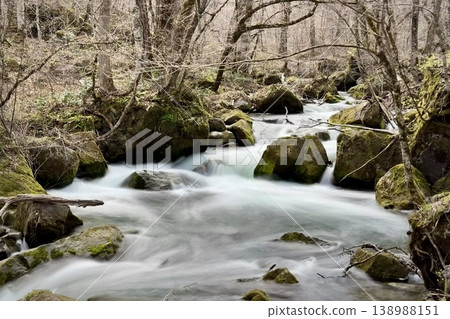 A long-exposure landscape of the Oirase Stream, where water flows smoothly over moss-covered stones. 138988151