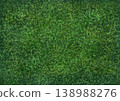 一幅以茶葉為主題的精美插畫。 138988276
