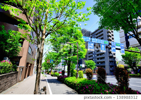 Yoyogi-Uehara, Shibuya Ward, Tokyo: A quiet, upscale residential area with beautiful dogwood trees. Yoyogi-Uehara, Shibuya Ward, Tokyo: A quiet, upscale residential area with beautiful dogwood trees. 138988312