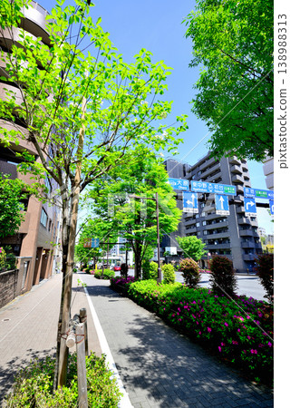 東京澀谷區代代木上原：安靜的高級住宅區，遍佈美麗的山茱萸樹。 138988313