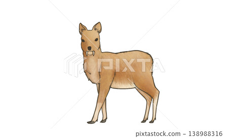 An illustration of a stag beetle quietly staring at the viewer. An illustration of a stag beetle quietly staring at the viewer. 138988316