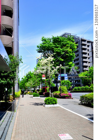 Yoyogi-Uehara, Shibuya Ward, Tokyo: A quiet, upscale residential area with beautiful dogwood trees. Yoyogi-Uehara, Shibuya Ward, Tokyo: A quiet, upscale residential area with beautiful dogwood trees. 138988317