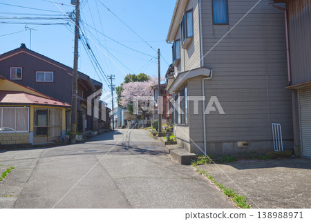 岩瀨入船町一個安靜的住宅區，春天可以欣賞櫻花。 138988971
