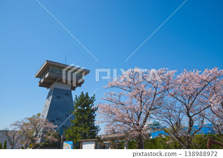 從富山港展望台眺望春日美景，藍天白雲，櫻花盛開。 138988972