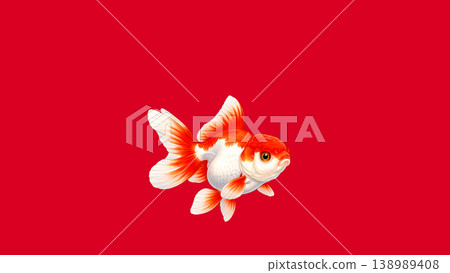 金魚和蘭壽金魚在紅色背景的襯托下格外醒目;這是一幅簡潔的日式插圖。 金魚和蘭壽金魚在紅色背景的襯托下格外醒目;這是一幅簡潔的日式插圖。 138989408