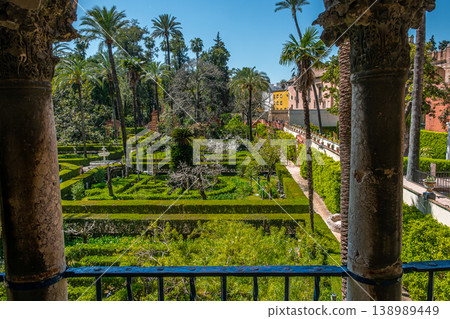 Formal Palm Garden 138989449