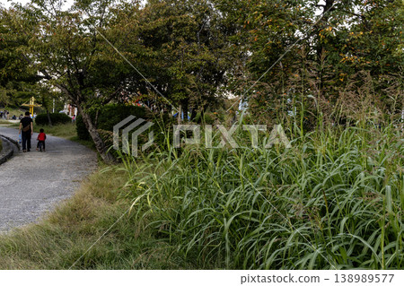 初秋時節,一對父子在公園步道上玩耍,然後回家-3 初秋時節,一對父子在公園步道上玩耍,然後回家-3 138989577