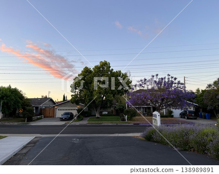 A house with camphor trees and jacarandas in the evening. A house with camphor trees and jacarandas in the evening. 138989891
