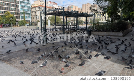 Many pigeons gathering in front of the fountain of the plaza in the city 138990195