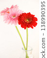 Red and pink gerberas, vertical composition. 138990395